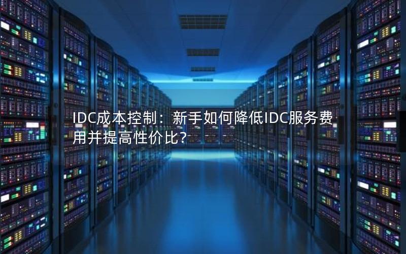 IDC成本控制：新手如何降低IDC服务费用并提高性价比？