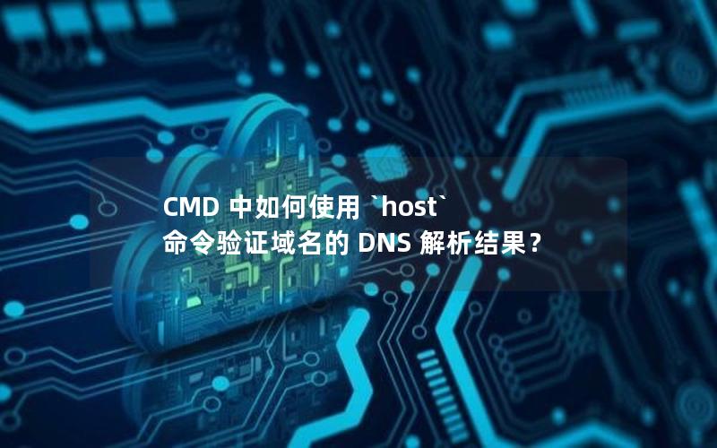 CMD 中如何使用 `host` 命令验证域名的 DNS 解析结果？