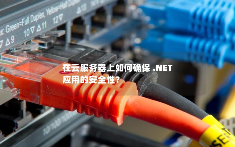 在云服务器上如何确保 .NET 应用的安全性？