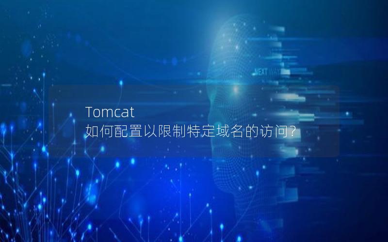 Tomcat 如何配置以限制特定域名的访问？