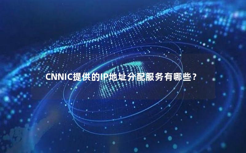 CNNIC提供的IP地址分配服务有哪些？