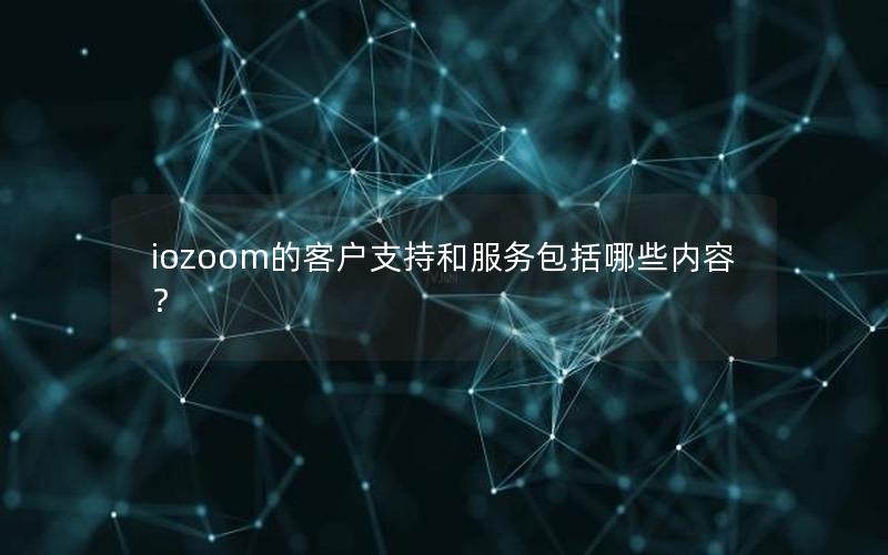 iozoom的客户支持和服务包括哪些内容？