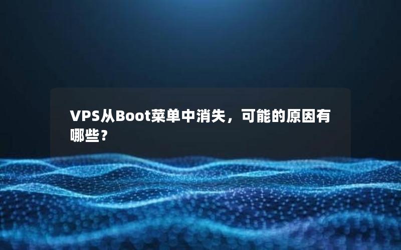 VPS从Boot菜单中消失，可能的原因有哪些？