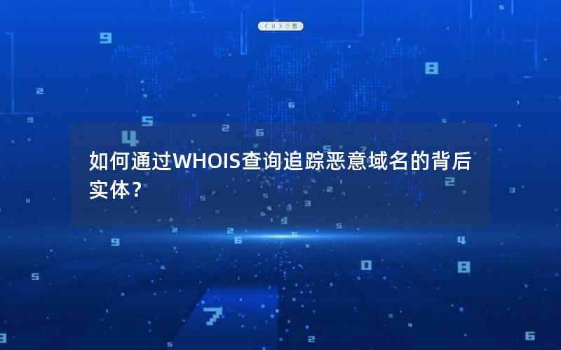 如何通过WHOIS查询追踪恶意域名的背后实体？