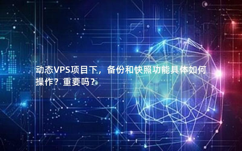 动态VPS项目下，备份和快照功能具体如何操作？重要吗？