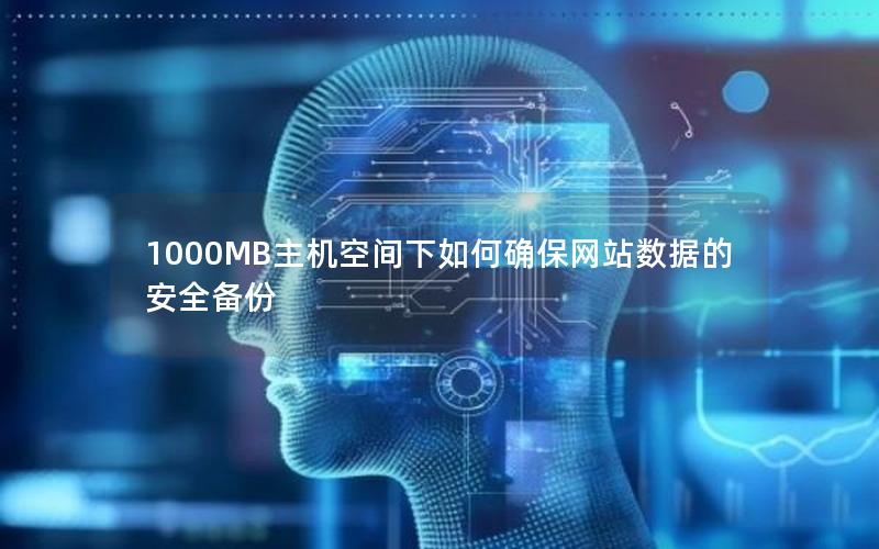 1000MB主机空间下如何确保网站数据的安全备份