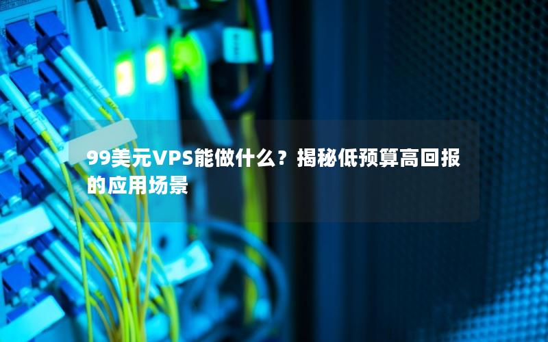 99美元VPS能做什么？揭秘低预算高回报的应用场景