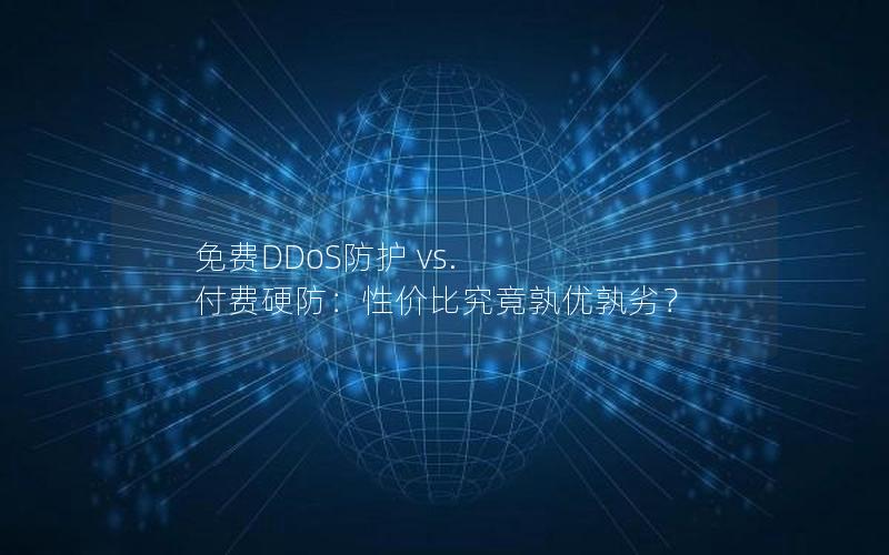 免费DDoS防护 vs. 付费硬防：性价比究竟孰优孰劣？