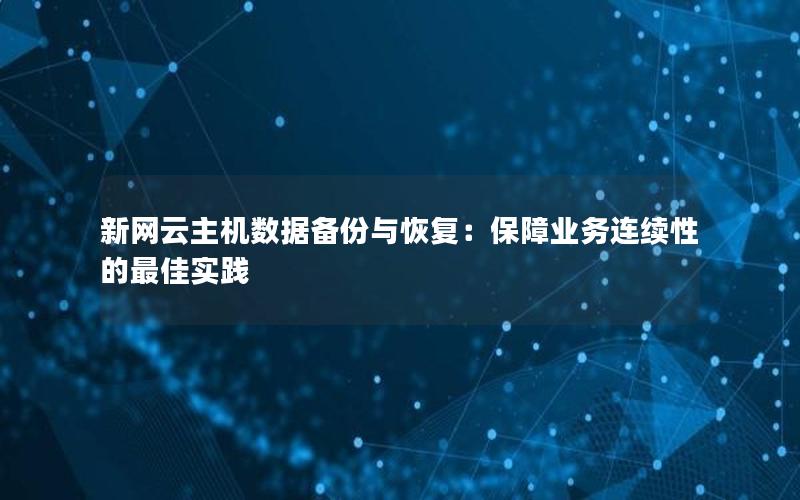 新网云主机数据备份与恢复：保障业务连续性的最佳实践