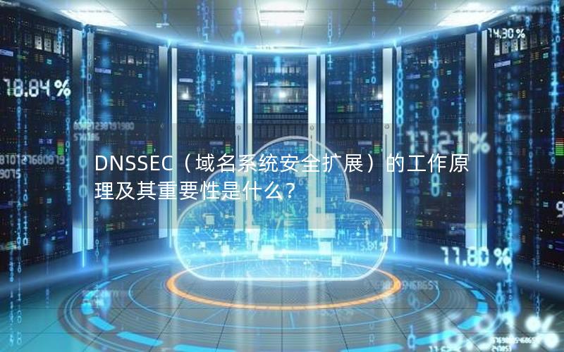 DNSSEC（域名系统安全扩展）的工作原理及其重要性是什么？