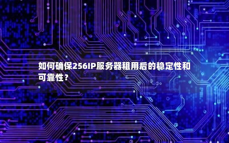 如何确保256IP服务器租用后的稳定性和可靠性？