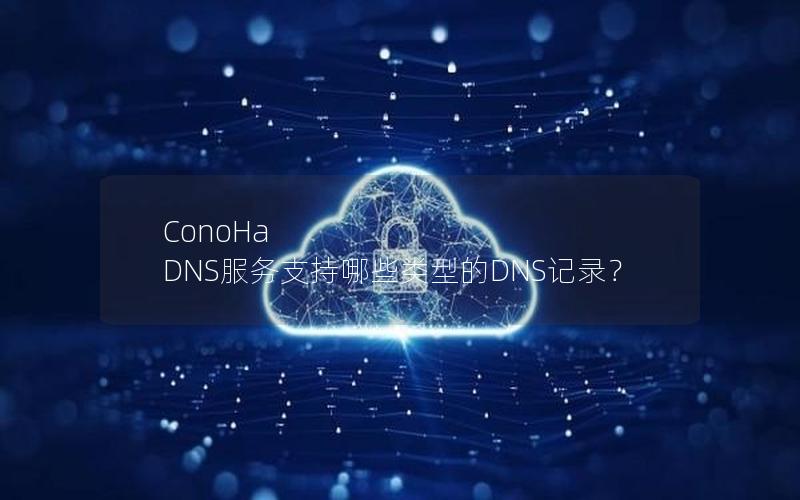 ConoHa DNS服务支持哪些类型的DNS记录？