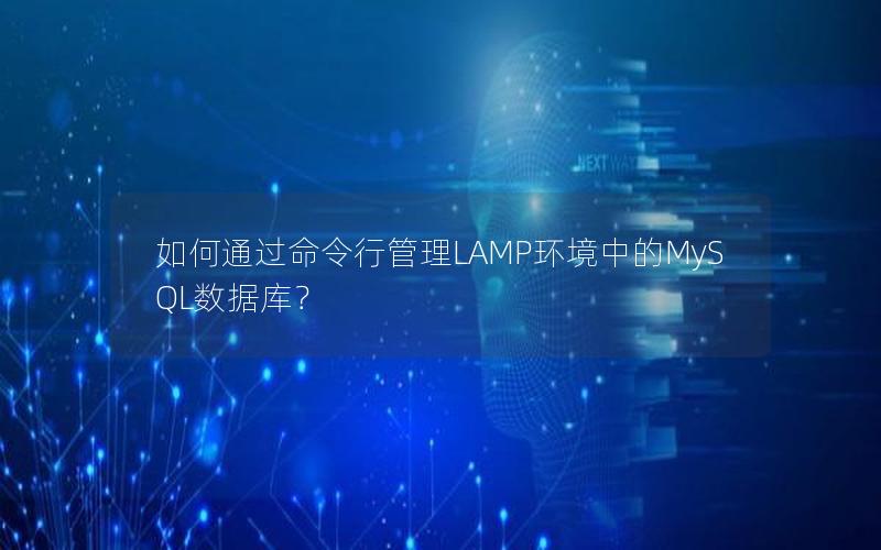 如何通过命令行管理LAMP环境中的MySQL数据库？