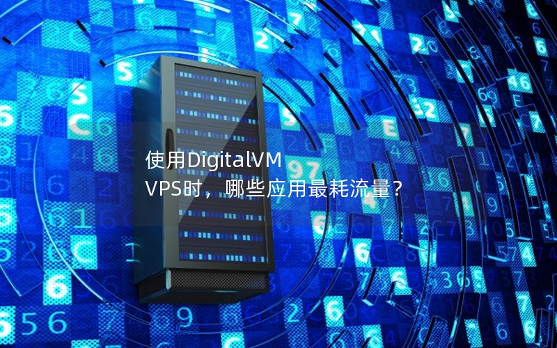 使用DigitalVM VPS时，哪些应用最耗流量？