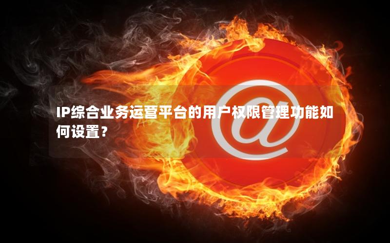 IP综合业务运营平台的用户权限管理功能如何设置？