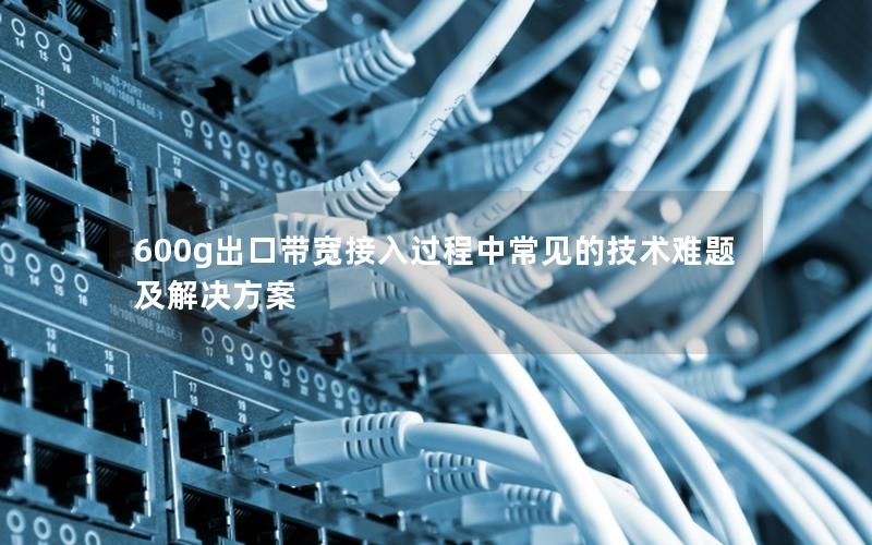 600g出口带宽接入过程中常见的技术难题及解决方案