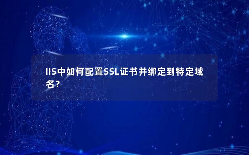 IIS中如何配置SSL证书并绑定到特定域名？