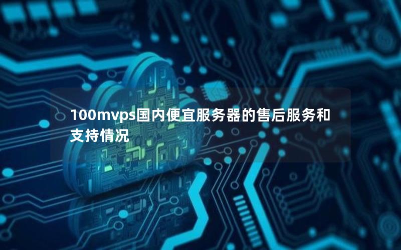 100mvps国内便宜服务器的售后服务和支持情况