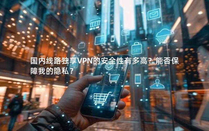 国内线路独享VPN的安全性有多高？能否保障我的隐私？