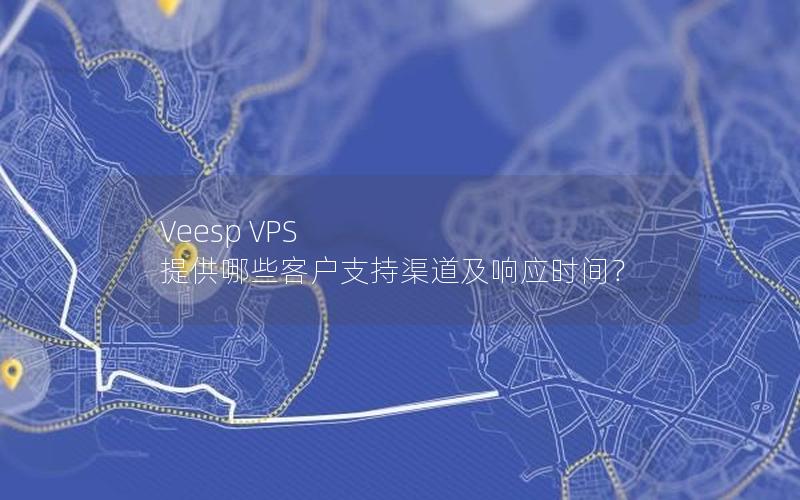 Veesp VPS 提供哪些客户支持渠道及响应时间？