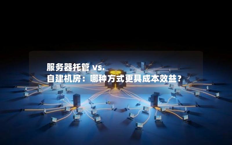 服务器托管 vs. 自建机房：哪种方式更具成本效益？