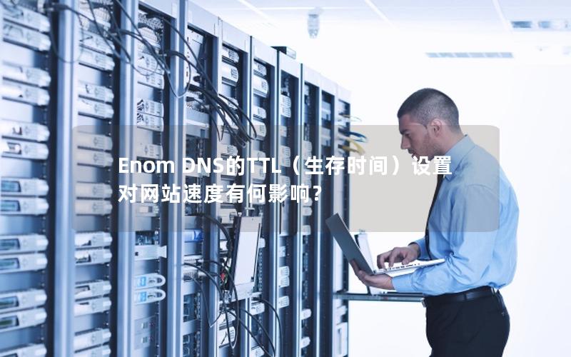 Enom DNS的TTL（生存时间）设置对网站速度有何影响？