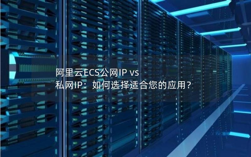 阿里云ECS公网IP vs 私网IP：如何选择适合您的应用？