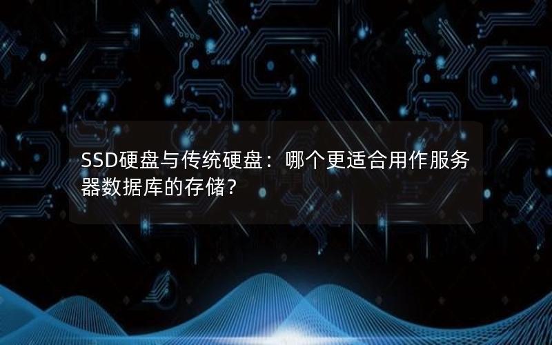 SSD硬盘与传统硬盘：哪个更适合用作服务器数据库的存储？