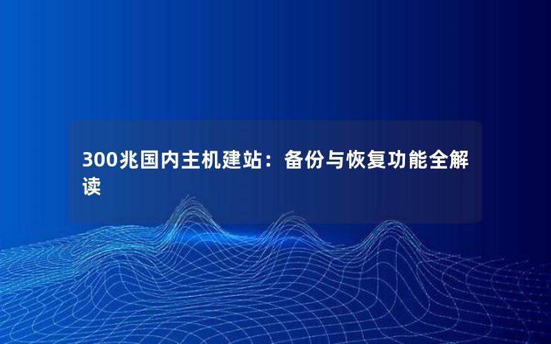 300兆国内主机建站：备份与恢复功能全解读