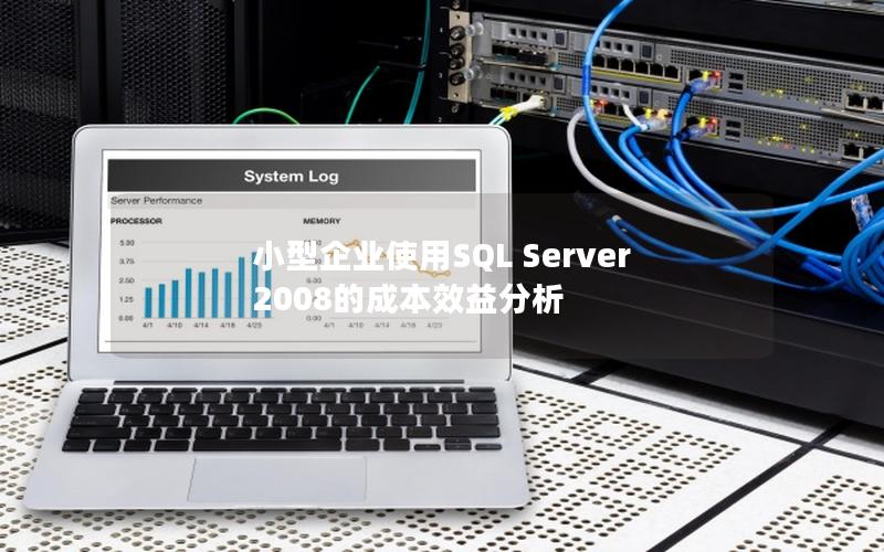 小型企业使用SQL Server 2008的成本效益分析