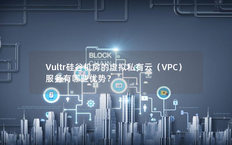 Vultr硅谷机房的虚拟私有云（VPC）服务有哪些优势？