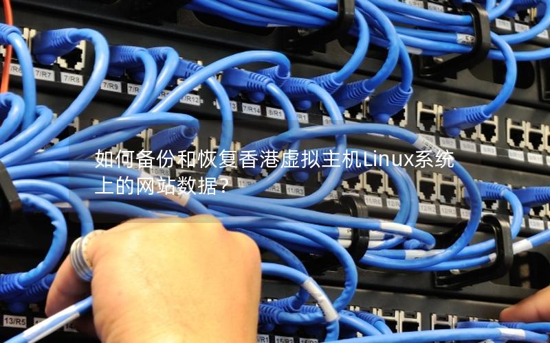 如何备份和恢复香港虚拟主机Linux系统上的网站数据？