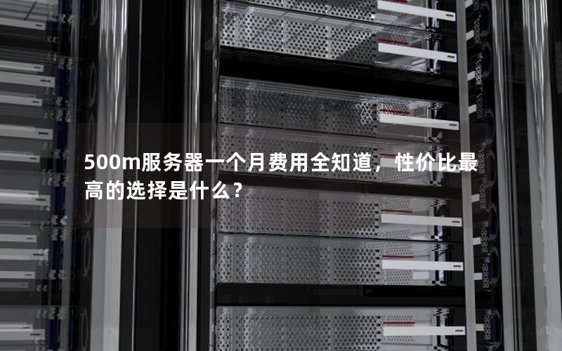 500m服务器一个月费用全知道，性价比最高的选择是什么？