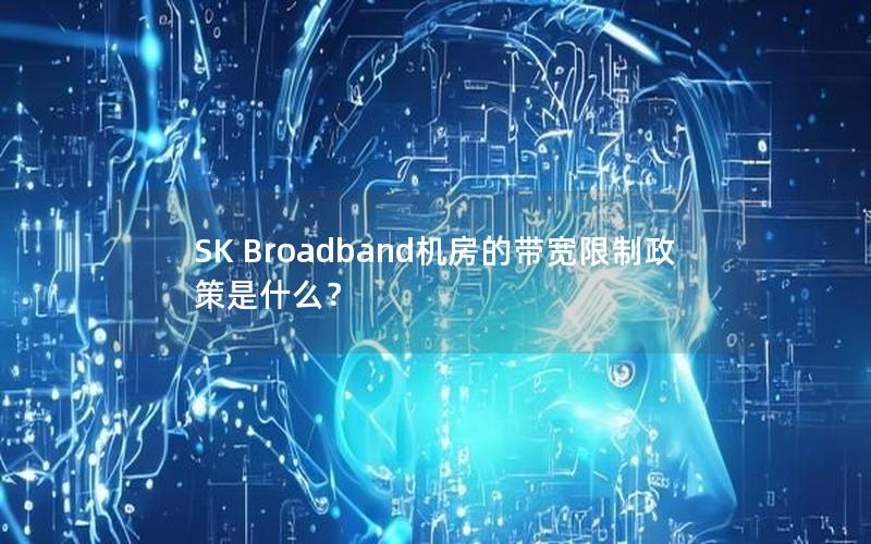 SK Broadband机房的带宽限制政策是什么？