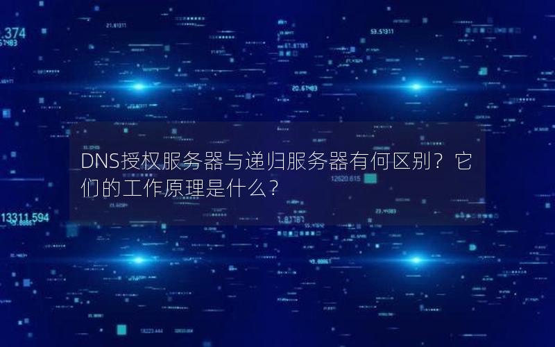 DNS授权服务器与递归服务器有何区别？它们的工作原理是什么？