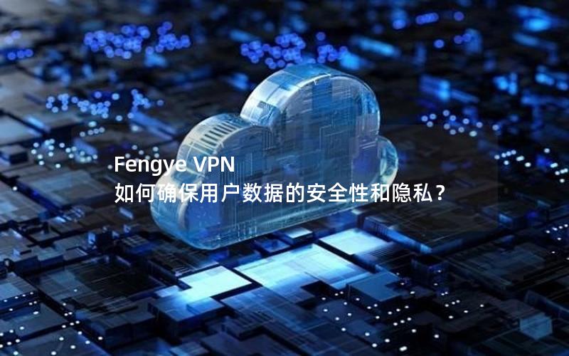 Fengye VPN 如何确保用户数据的安全性和隐私？