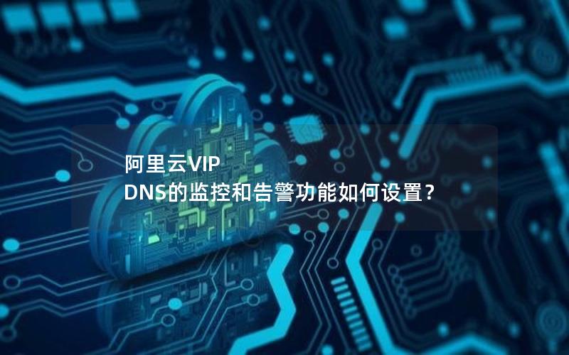 阿里云VIP DNS的监控和告警功能如何设置？