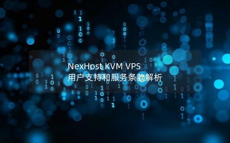 NexHost KVM VPS 用户支持和服务条款解析