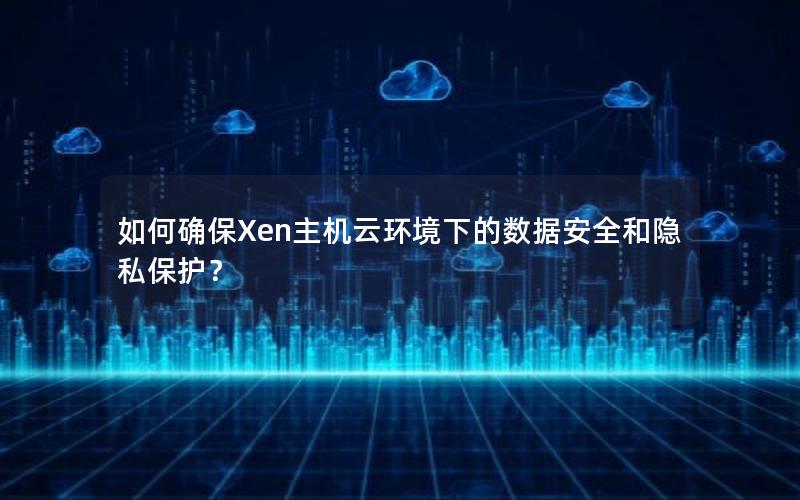 如何确保Xen主机云环境下的数据安全和隐私保护？