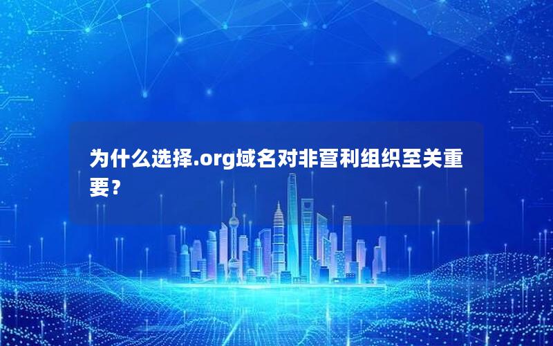 为什么选择.org域名对非营利组织至关重要？