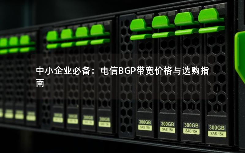 中小企业必备：电信BGP带宽价格与选购指南