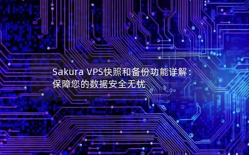 Sakura VPS快照和备份功能详解：保障您的数据安全无忧