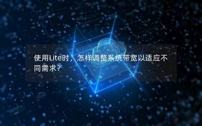 使用Lite时，怎样调整系统带宽以适应不同需求？