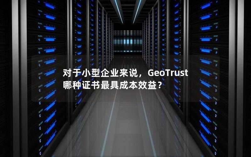 对于小型企业来说，GeoTrust 哪种证书最具成本效益？