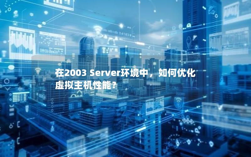 在2003 Server环境中，如何优化虚拟主机性能？