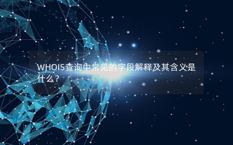 WHOIS查询中常见的字段解释及其含义是什么？