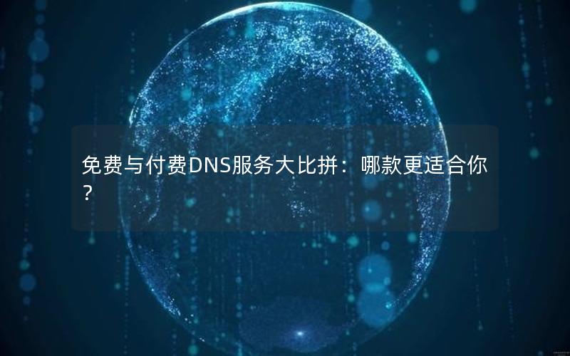 免费与付费DNS服务大比拼：哪款更适合你？