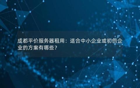 成都平价服务器租用：适合中小企业或初创企业的方案有哪些？