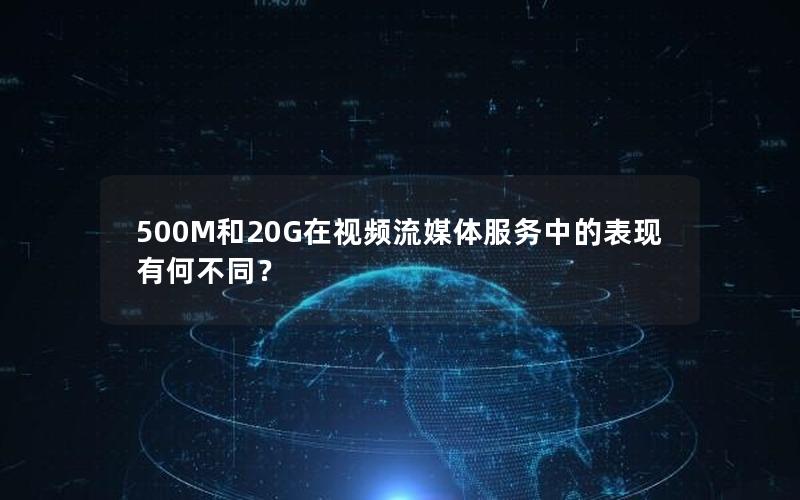 500M和20G在视频流媒体服务中的表现有何不同？