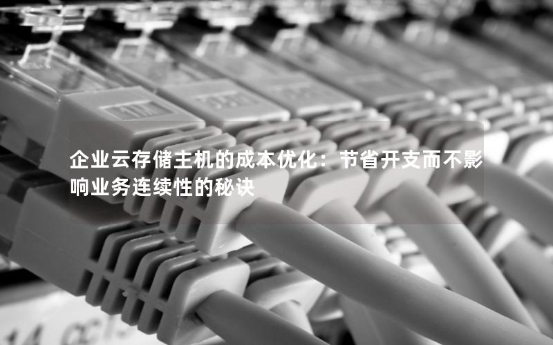 企业云存储主机的成本优化：节省开支而不影响业务连续性的秘诀